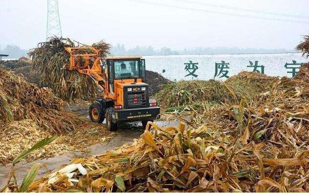 黑土地上的‘秸稈經(jīng)紀(jì)人’要讓秸稈牛起來，變成‘寶’