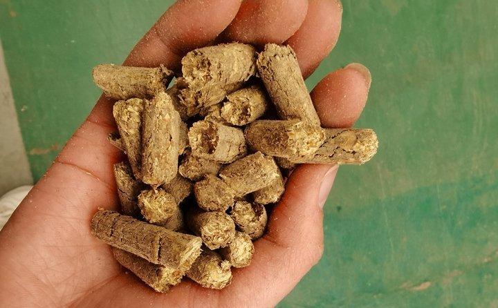 秸稈飼料顆粒機(jī)提高秸稈利用率，飼料顆粒機(jī)是以玉米、豆粕、秸稈、草、稻殼等為原料，通過粉碎原料后直接壓制成顆粒的飼料加工機(jī)械。