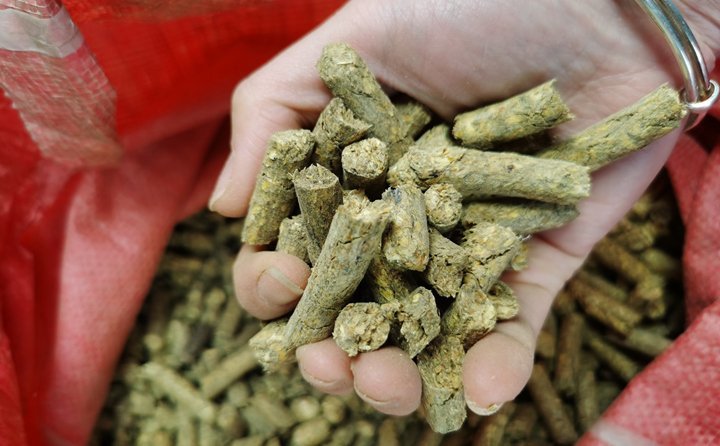 秸稈顆粒機(jī)就是將粉碎后的秸稈制成顆粒飼料，用于飼喂牛羊